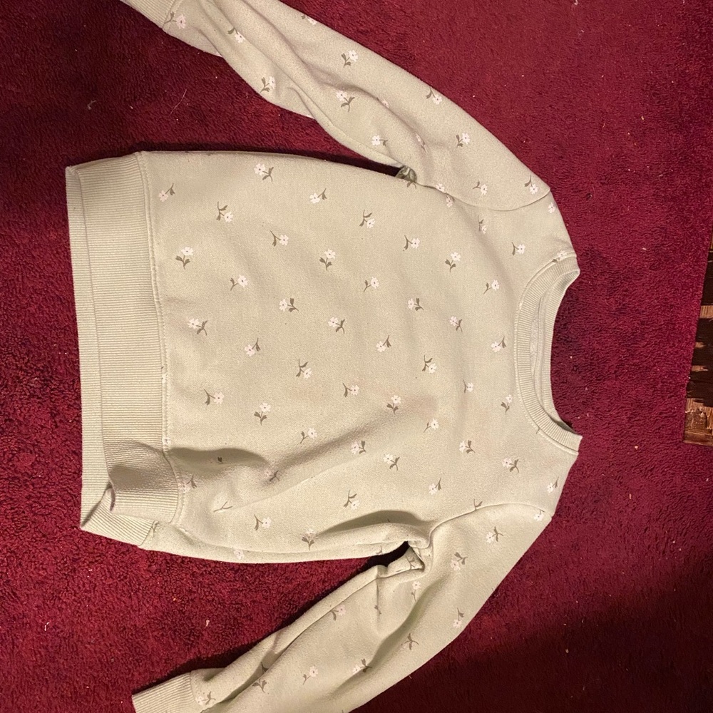 Cat & Jack Sage Green Floral Embroidered Sweatshirt